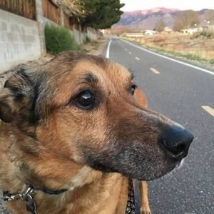 Meet your Posher, Paula